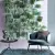 La Diva Maria Torello Monza Vaniglia S 7.5x15 La Diva Maria Torello Monza Vaniglia S 7.5x15