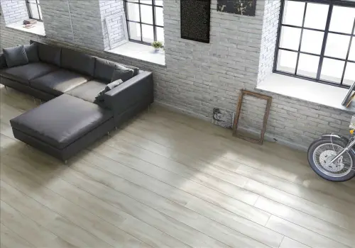 Porcelanico