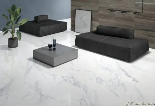 Venatino 4d