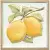 Kerama Marazzi Капри TLA002 Лимончики 9.9x9.9 Kerama Marazzi Капри TLA002 Лимончики 9.9x9.9