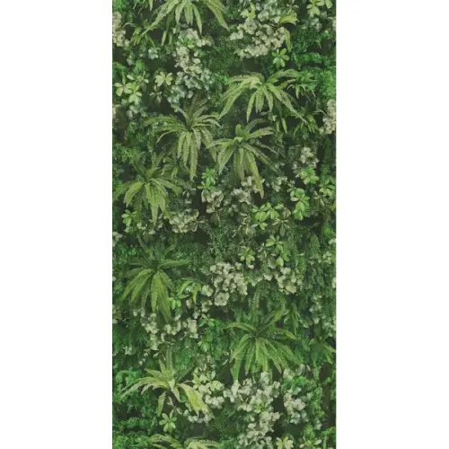 ABK Wide & Style 0007385 Secret Garden 160x320