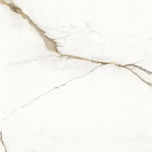 Provenza Unique Marble ELDR Paonazzetto Silktech Ret 120x120