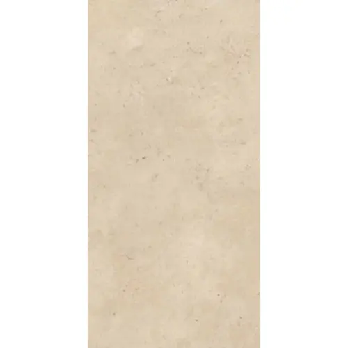 Ariana Memento 0014188 Camargue Beige Ant 60x120 - керамическая плитка и керамогранит