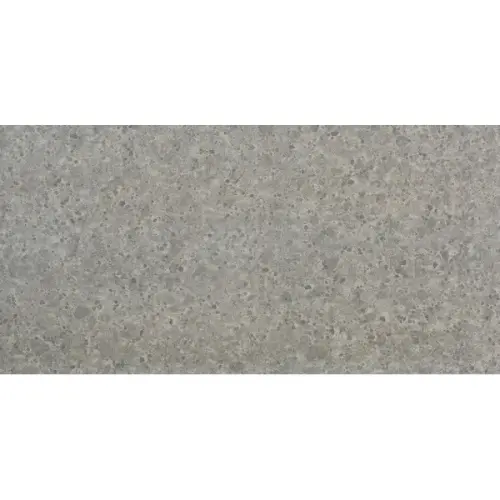 Gigacer Inclusioni Soave 24INCL60120CENEREBOC Cenere Boc 24mm Rett 60x120