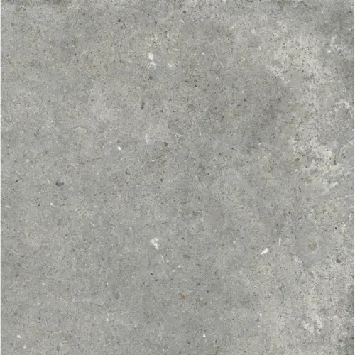 Ariana Anima 0006058 Grigio Nat Ret 60x60 - керамическая плитка и керамогранит