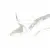 Laminam I Naturali Marmi LAMFF00783_IT Calacatta Michelangelo Lucidato 12mm 162x324 Laminam I Naturali Marmi LAMFF00783_IT Calacatta Michelangelo Lucidato 12mm 162x324