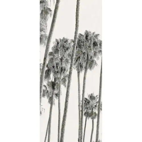 ABK Wide & Style 0009390 Hollywood B 160x320