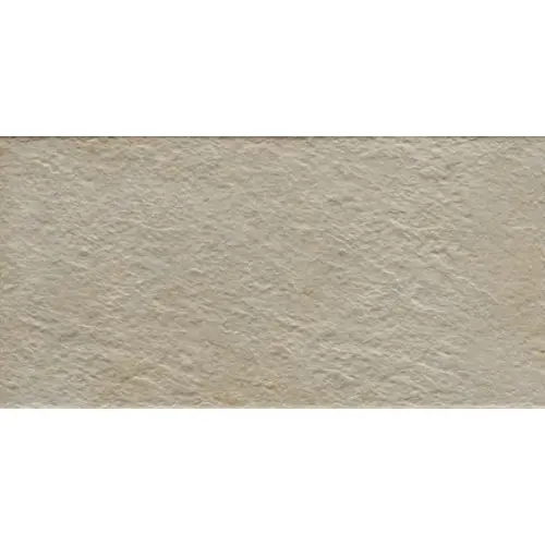 Caesar Step Out AGWQ Dust RT 30x60