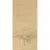 La Fenice Le Doghe Olmo 20x120