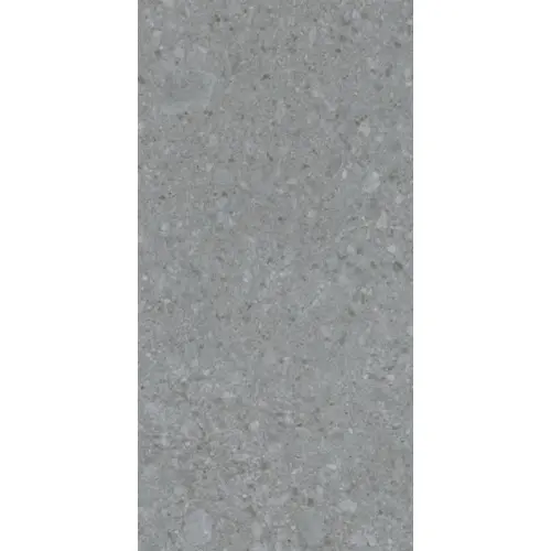 Lasselsberger (LB-Ceramics) Иней Техно 6493-0201 Темно-серый 60x120 - керамическая плитка и керамогранит