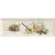 Monopole Ceramica Fruit Miel 10x30 Monopole Ceramica Fruit Miel 10x30