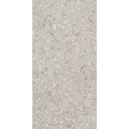 Lasselsberger (LB-Ceramics) Inei 6493-0136 Серый 60x120 - керамическая плитка и керамогранит