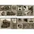 Mallol Genova Decor Memories Beige-2 50x75