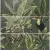 Ape ceramica Silk Set (3) Abc Toucan Green Заказ только комплектом из 3 шт 40x120