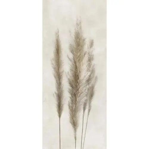 Caesar Deco Solutions AGUH Pampa Faccia A 120x278