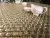 Leedo Alchimia Diamanti d'oro 24x42x6 28,2x31