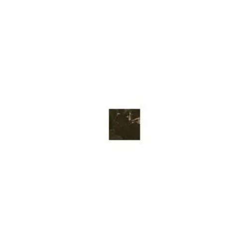 Caesar Anima ACIO Dark Emperador Angolo Est Sigaro 2x2