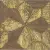 Ascot Steam Work SWKLD66 Gold Lucia Nut 30x30 Ascot Steam Work SWKLD66 Gold Lucia Nut 30x30