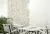 Faetano Evogue EF 52 Evoque Bosco 20x50