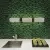 Bisazza Opus Romano 021241001D Oro 12.1 1.2x100