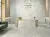 Shine Shine