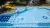 Rako Pool XPC55005 Белая 19,7x11,5