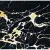 Infinity Ceramic Tiles Castello Del Monte Portoro 60x60