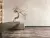 Zodiac Ceramica Poetic MN041AP271206 White Polished 6 mm 120x270 Zodiac Ceramica Poetic MN041AP271206 White Polished 6 mm 120x270