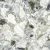 Atlas Concorde Russia Forte Dei Marmi Quark 610010002971 Ceppo Apuano Forest Matt Ret 80x80 Atlas Concorde Russia Forte Dei Marmi Quark 610010002971 Ceppo Apuano Forest Matt Ret 80x80