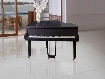 Blanco/Negro