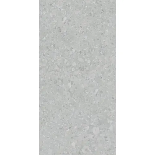 Lasselsberger (LB-Ceramics) Иней Техно 6493-0196 Серый 60x120 - керамическая плитка и керамогранит
