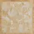 Versace Marble 240072 o Cassettone Foglia Oro Onice 58.5x58.5