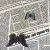 Bardelli Ultime Notizie L.111 ( 8 из 16 mix ) 20x20