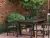 Cerrad Brick 5903263449829 Glazed Facade Cherry 6,5x24,5
