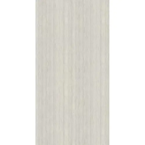 Fakhar Karpi Light Grey Simple Decore 59,6x119,6