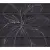 Viva Ceramica Dolceamaro 653E9RF 653E9RF Black Poison x8 25x60