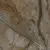 Kerama Marazzi Театро SG457822R Коричневый лаппатированный 8,5mm 50,2x50,2
