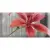 Absolut Keramika Monocolor Mix Flowers RBW 4 7.5x15