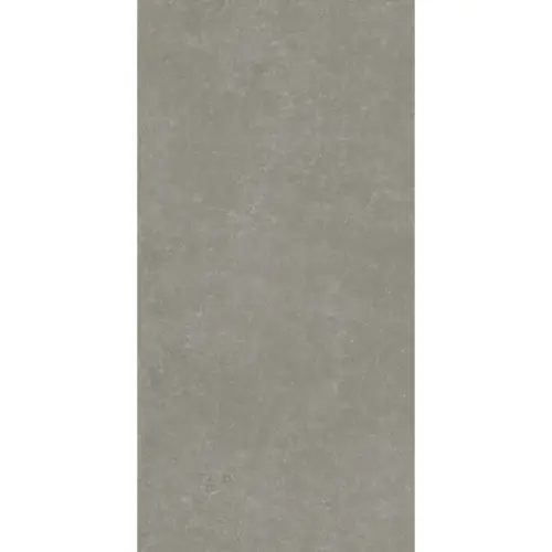 Kerama Marazzi Касабланка KM6012G0101R RP Серый Матовый Обрезной 60x119,5