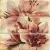 Ceramicas Myr Emperador Beige 60x60