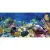 Ceradim Emma UG2L452D Стеклянный 60x29.7