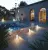 Gigacer Inclusioni Soave 24INCL60ECRUSOF Ercu Soft 24mm Rett 60x60