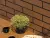 Cerrad Brown 5903263445487 Tile Rustiko 30x30