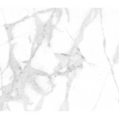 Arcadia Ceramica Diverso CR6014-A White Carving 60x60 - керамическая плитка и керамогранит