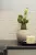 Marazzi Chalk M06S Smoke 30x30 Marazzi Chalk M06S Smoke 30x30