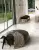 Century Old Stone 119307 Cover Naturale Ret 60x120