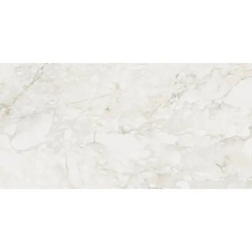 Century Medley 137256 Prince Molato Ret 60x120