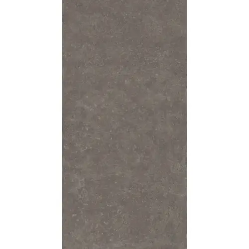Kerama Marazzi Касабланка KM6012G0221R UP Коричневый Матовый Обрезной 60x119,5