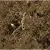 Navarti Crema Marfil Imperial Marron 45x45 Navarti Crema Marfil Imperial Marron 45x45