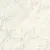 Caesar Anima Ever AFIT Supreme White Matt Ret 80x80